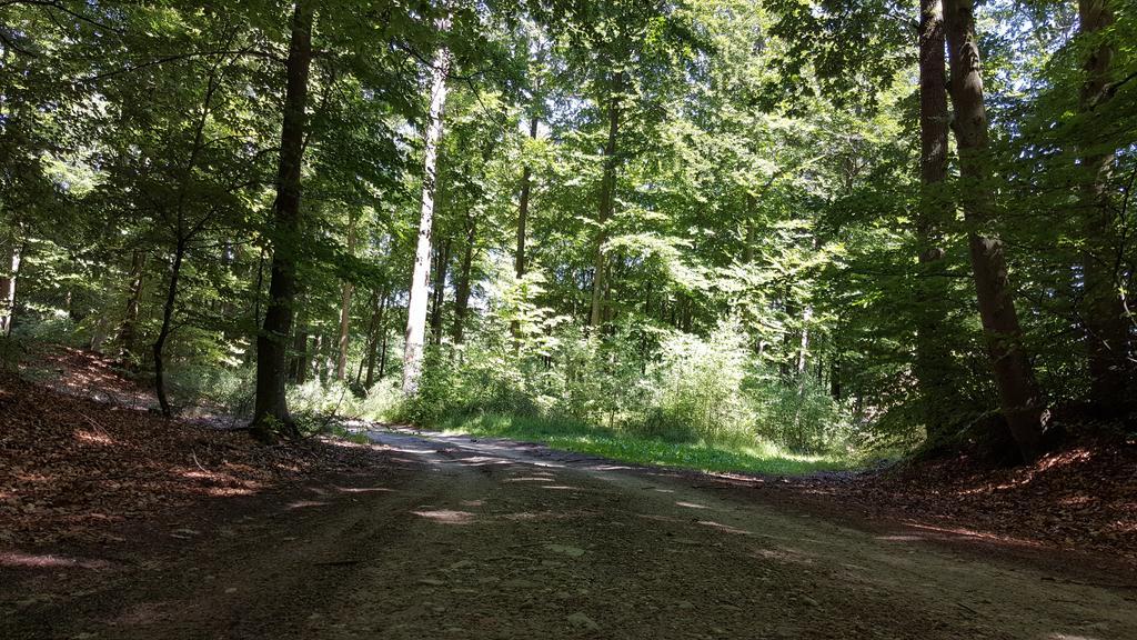 Domki U Eryka Brzyno Buitenkant foto